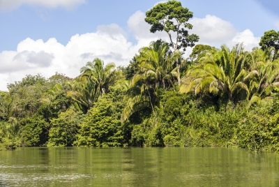 Monkey River Belize 2022